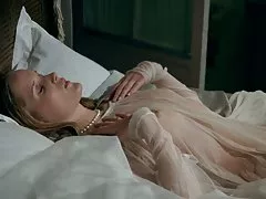 Den söta doften av rose