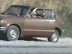 Danska vintage